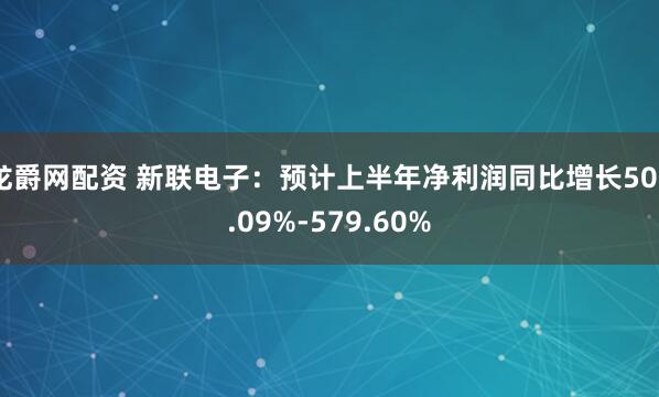 龙爵网配资 新联电子:预计上半年净利润同比增长502.09%-579.60%