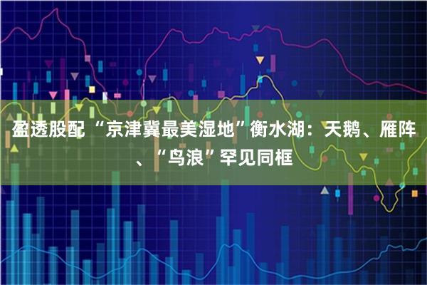 盈透股配 “京津冀最美湿地”衡水湖:天鹅、雁阵、“鸟浪”罕见同框